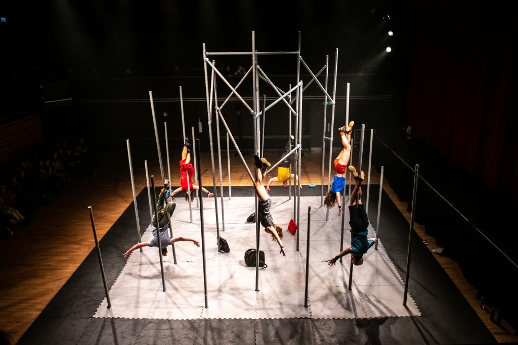 MotionHouseWild22919GJ94 Motionhouse